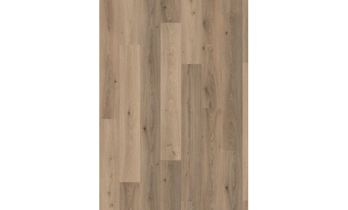 Dub Trilogy Cappuccino