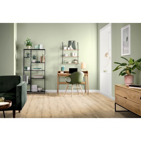 Dub Dunnington svetlý