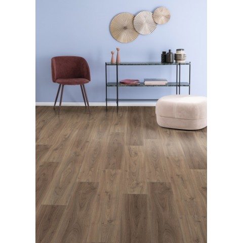 Orech Langley svetlý