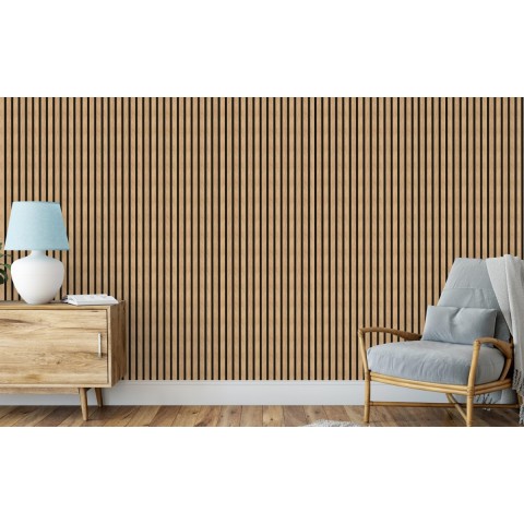 MEO ACOUSTIC  