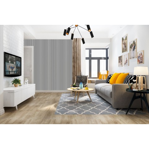MEO ACOUSTIC  STYLE