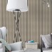 MEO ACOUSTIC  